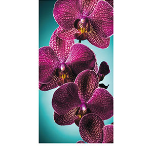 Фотообои &quot;Decocode&quot;, &quot;Орхидея на бирюзе 13-0421-FR&quot;, 1300*2500мм